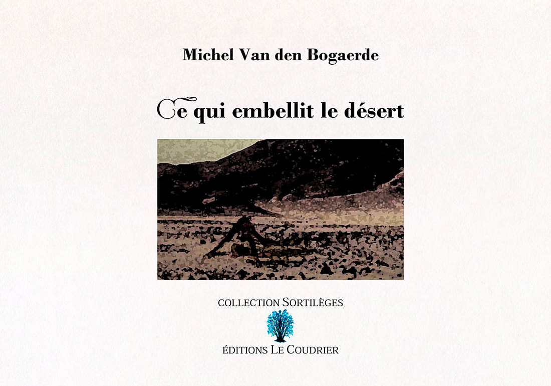 MICHEL VAN DEN BOGAERDE - Ce qui embellit le désert