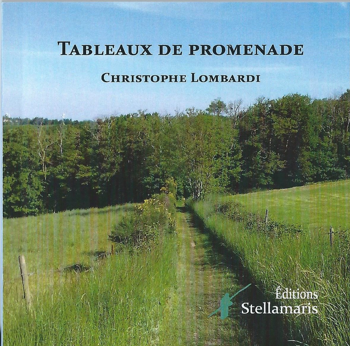 CHRISTOPHE LOMBARDI - Tableaux de promenade