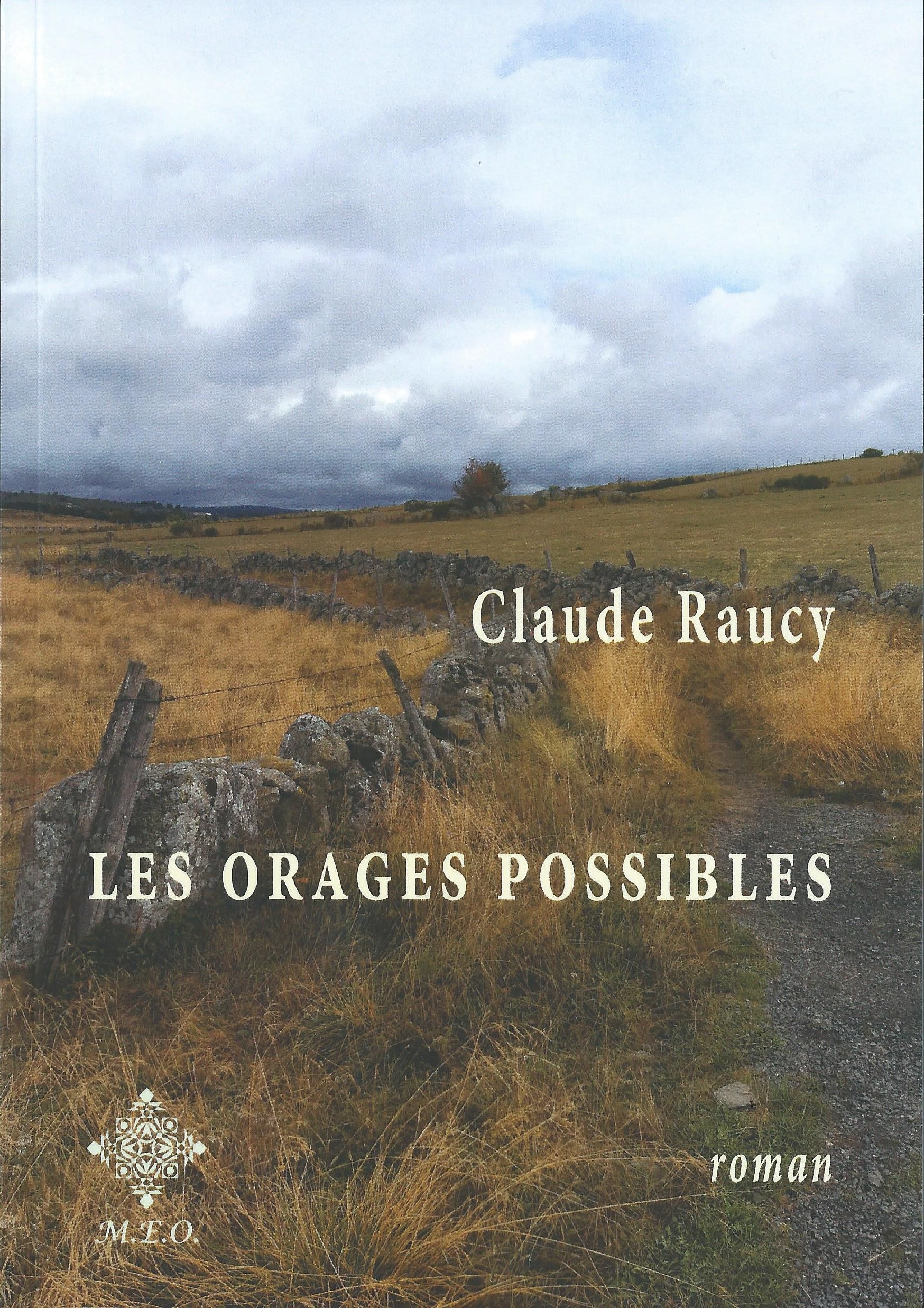 CLAUDE RAUCY - Les orages possibles