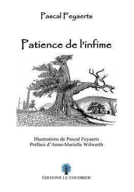 PASCAL FEYAERTS - Patience de l'infime